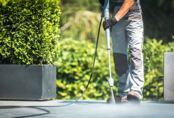 Best Gutter Cleaning  in Missouri Valley, IA